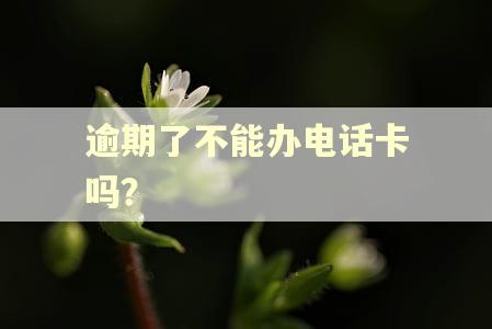 逾期了不能办电话卡吗？