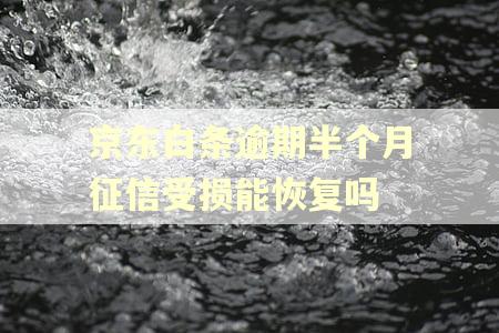 京东白条逾期半个月征信受损能恢复吗 京东白条逾期半个月征信受损能恢复吗