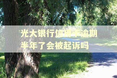 光大银行信用卡逾期半年了会被起诉吗