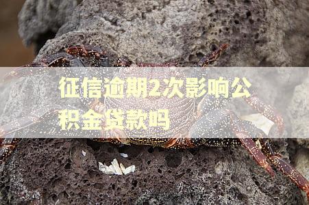 征信逾期2次影响公积金贷款吗