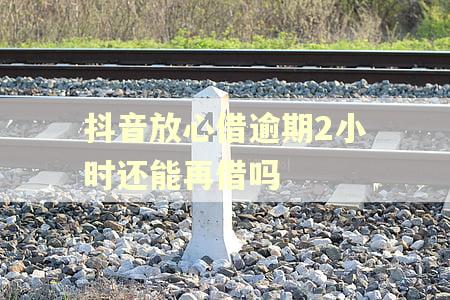 抖音放心借逾期2小时还能再借吗