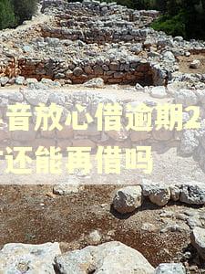 抖音放心借逾期2小时还能再借吗