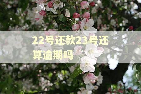 22号还款23号还算逾期吗