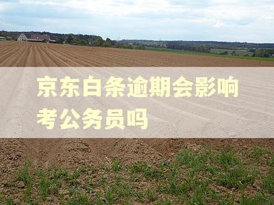 京东白条逾期会影响考公务员吗