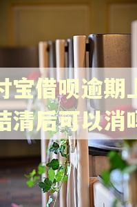 支付宝借呗逾期上征信结清后可以消吗