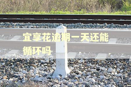 宜享花逾期一天还能循环吗