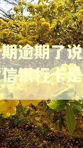 来分期逾期了说会冻洁微信银行卡是真的吗