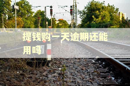 提钱购一天逾期还能用吗