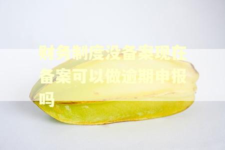 财务制度没备案现在备案可以做逾期申报吗