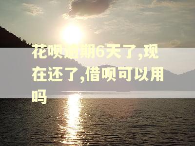 花呗逾期6天了,现在还了,借呗可以用吗
