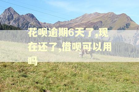 花呗逾期6天了,现在还了,借呗可以用吗