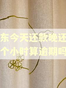 京东今天还款晚还了几个小时算逾期吗