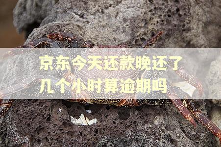 京东今天还款晚还了几个小时算逾期吗