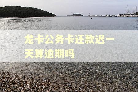 龙卡公务卡还款迟一天算逾期吗