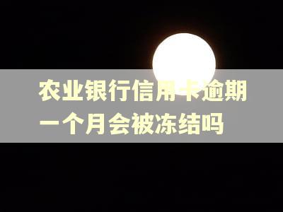 农业银行信用卡逾期一个月会被冻结吗