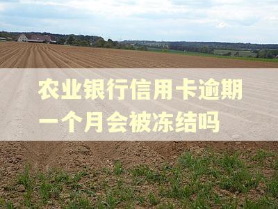 农业银行信用卡逾期一个月会被冻结吗
