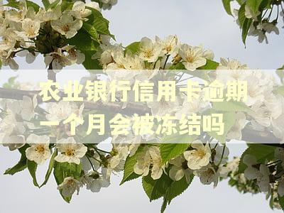 农业银行信用卡逾期一个月会被冻结吗 农业银行信用卡逾期一个月会被冻结吗