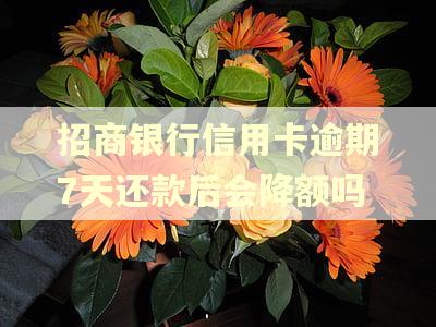 招商银行信用卡逾期7天还款后会降额吗