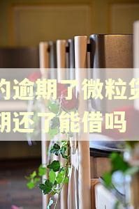 别的逾期了微粒贷没逾期还了能借吗