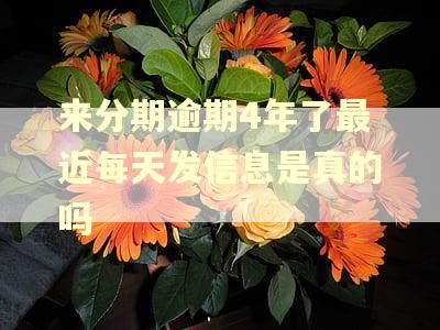 来分期逾期4年了最近每天发信息是真的吗 来分期逾期4年了最近每天发信息是真的吗
