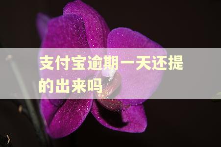 支付宝逾期一天还提的出来吗
