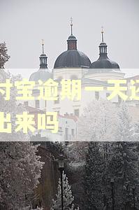 支付宝逾期一天还提的出来吗