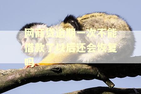 网商贷逾期一次不能借款了以后还会恢复吗