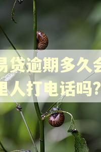 恒易贷逾期多久会给家里人打电话吗?