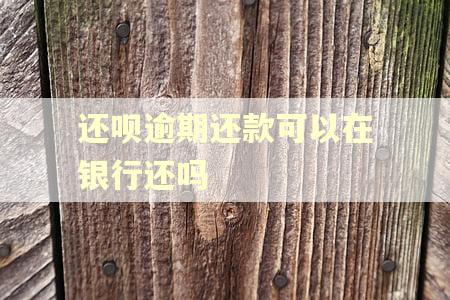 还呗逾期还款可以在银行还吗