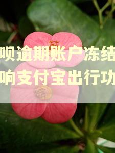 花呗逾期账户冻结后影响支付宝出行功能吗 花呗逾期账户冻结后影响支付宝出行功能吗