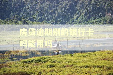 房贷逾期别的银行卡吗能用吗