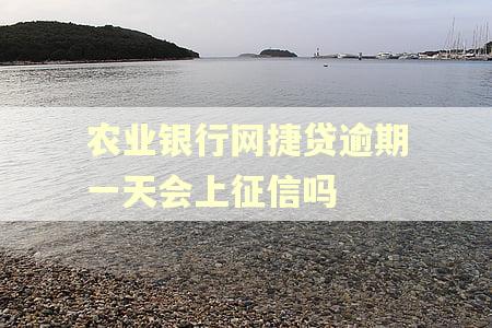 农业银行网捷贷逾期一天会上征信吗