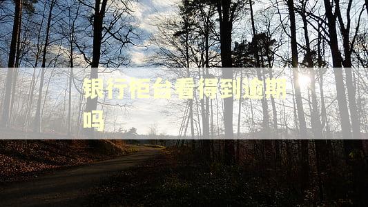 银行柜台看得到逾期吗