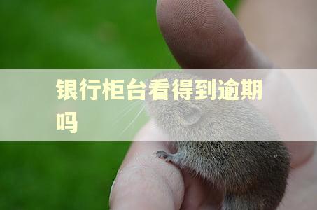 银行柜台看得到逾期吗 银行柜台看得到逾期吗