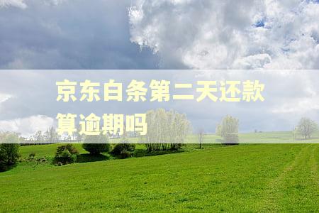 京东白条第二天还款算逾期吗