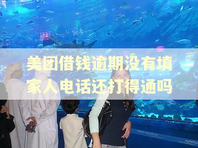 美团借钱逾期没有填家人电话还打得通吗