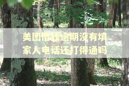 美团借钱逾期没有填家人电话还打得通吗
