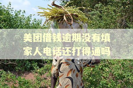 美团借钱逾期没有填家人电话还打得通吗 美团借钱逾期没有填家人电话还打得通吗