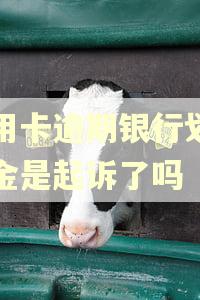 信用卡逾期银行划扣资金是起诉了吗