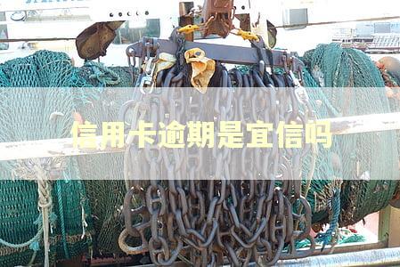 信用卡逾期是宜信吗