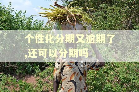 个性化分期又逾期了,还可以分期吗
