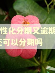 个性化分期又逾期了,还可以分期吗