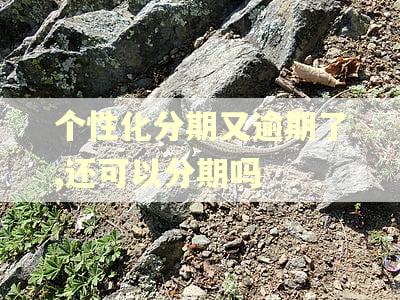 个性化分期又逾期了,还可以分期吗