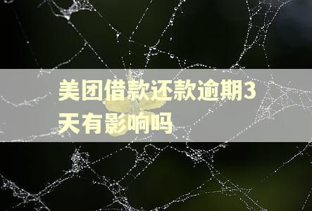 美团借款还款逾期3天有影响吗