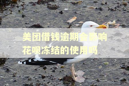 美团借钱逾期会影响花呗冻结的使用吗 美团借钱逾期会影响花呗冻结的使用吗