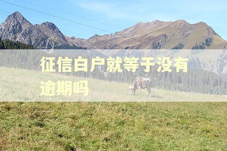 征信白户就等于没有逾期吗