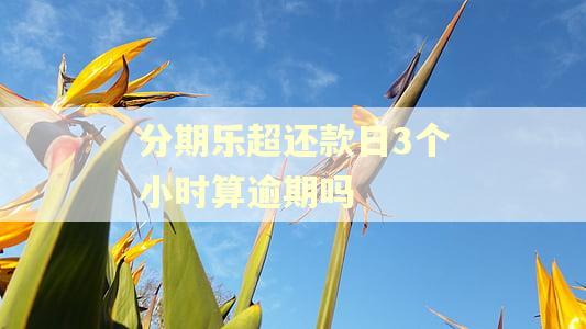 分期乐超还款日3个小时算逾期吗