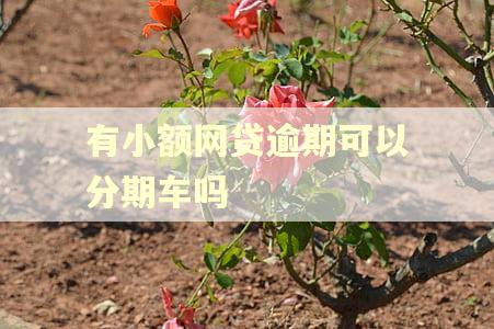 有小额网贷逾期可以分期车吗 有小额网贷逾期可以分期车吗