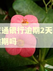 交通银行逾期2天算逾期吗 交通银行逾期2天算逾期吗