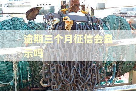 逾期三个月征信会显示吗 逾期三个月征信会显示吗
